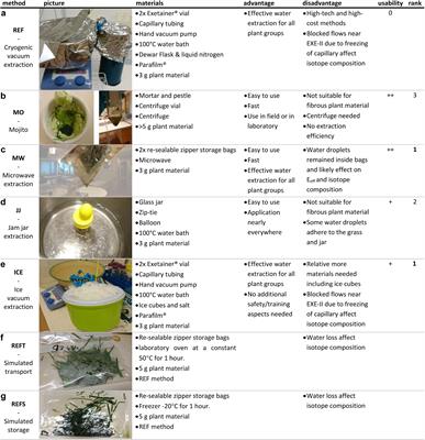 Mojito, Anyone? An Exploration of Low-Tech Plant Water Extraction Methods for Isotopic Analysis Using Locally-Sourced Materials